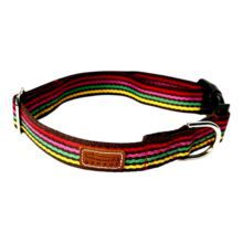 brown candy stripe collar