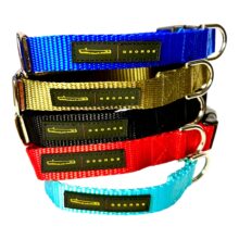 nylon webbing collar