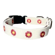 natural daisy collar