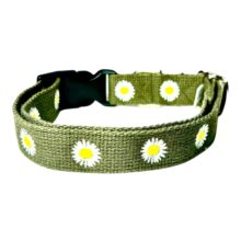 olive daisy collar