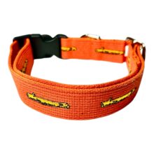 orange stick collar