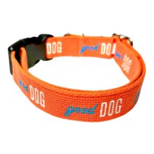 orange good dog collar