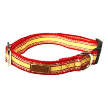 red and yellow stripe collar